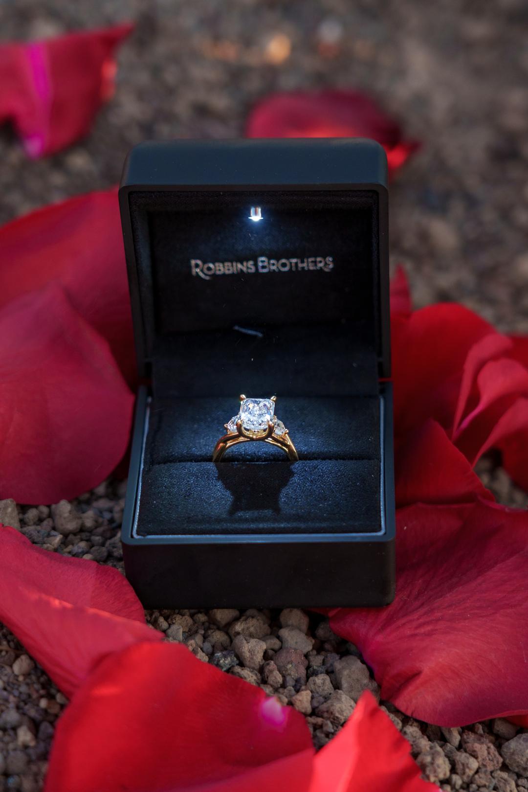 A solitaire engagement ring in an open box resting on red rose petals and volcanic gravel