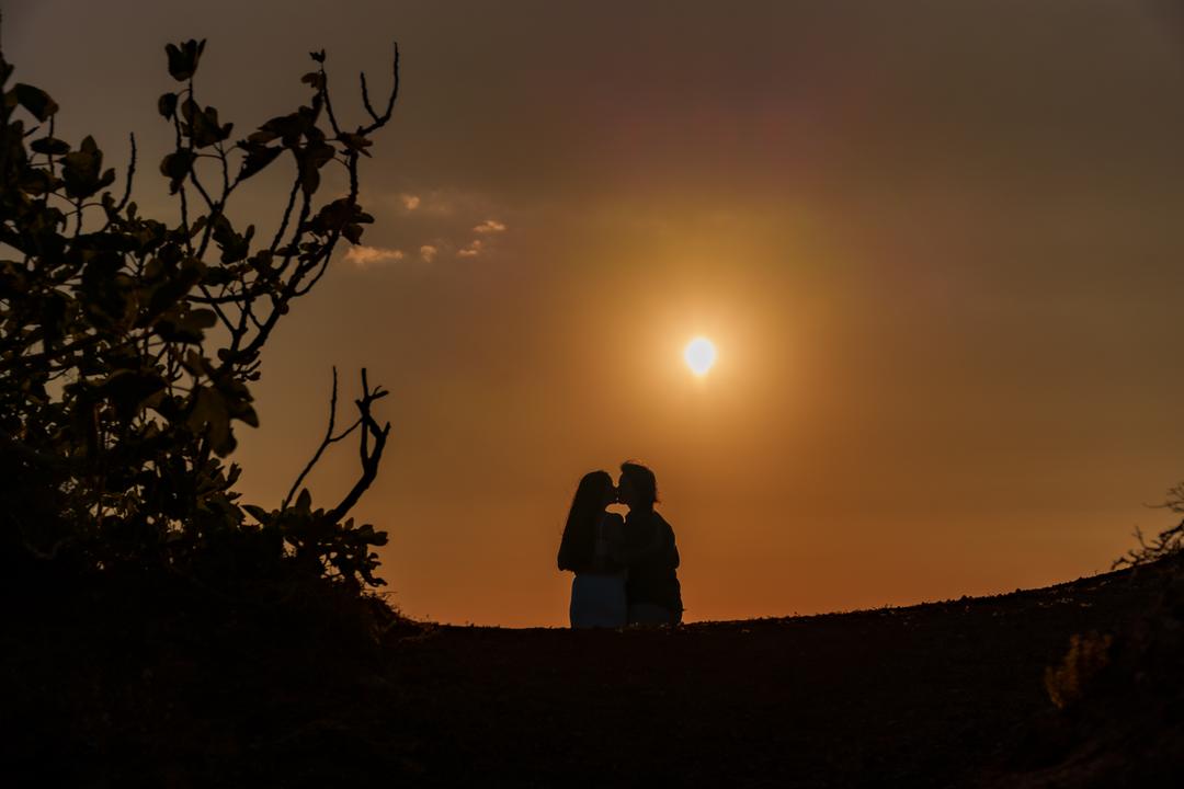 A couple silhouetted against a large orange sun on the horizon, framed by the bare branches of a tree